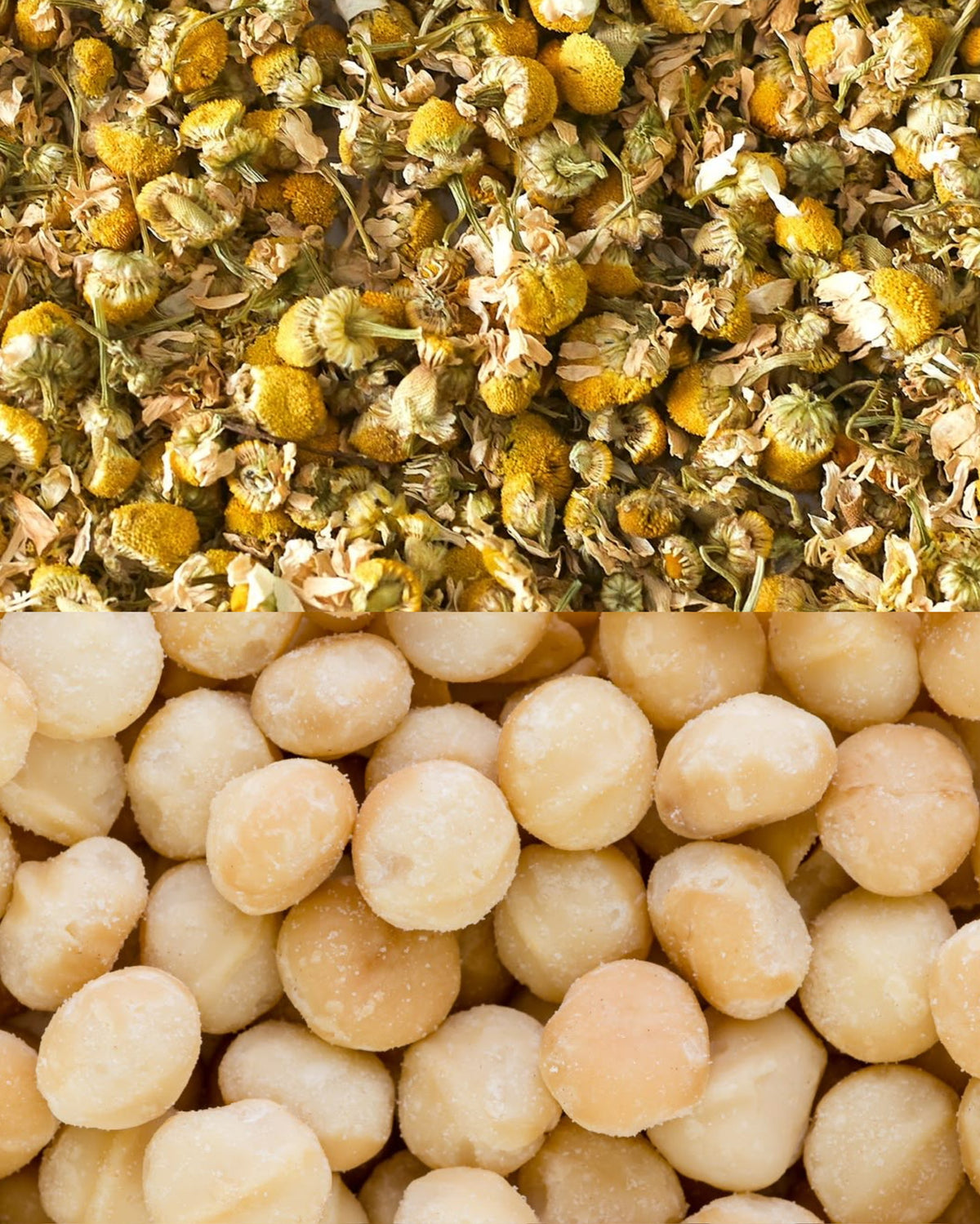 Chamomile Macadamia