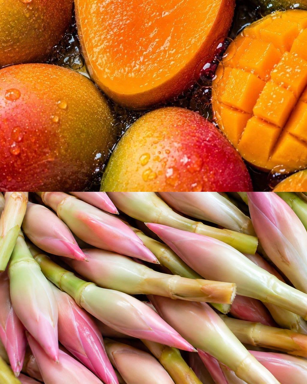 Mango Ginger