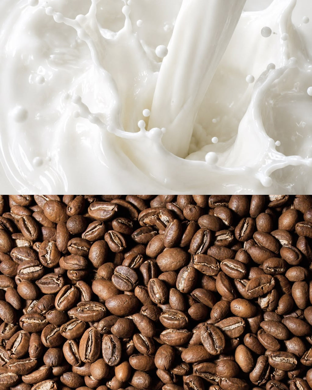 Cold Brew Coffee